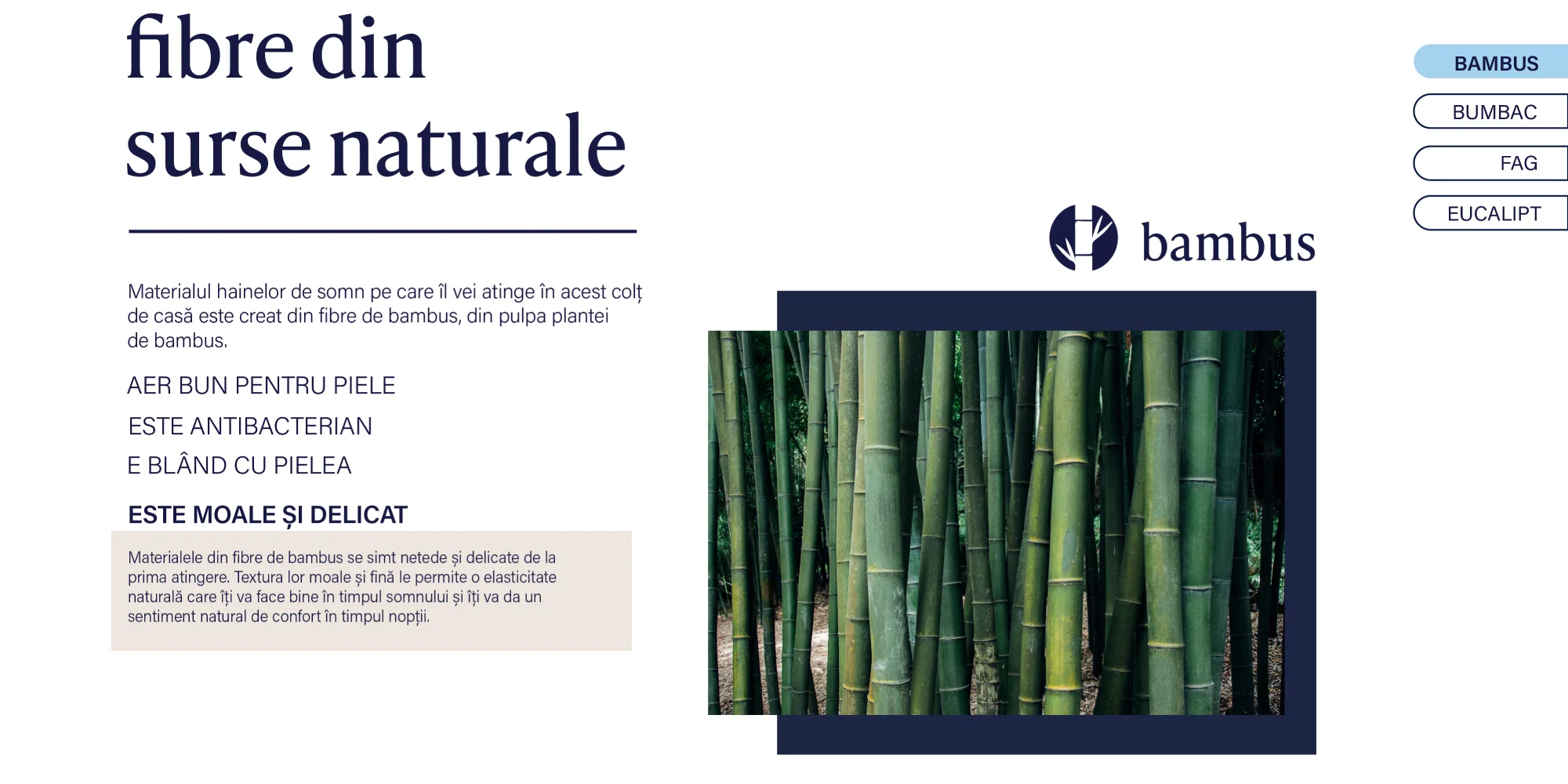 Bambus4